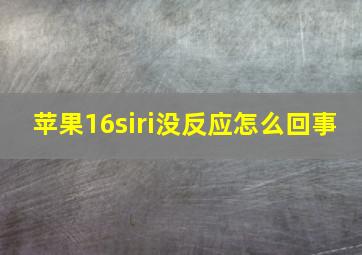 苹果16siri没反应怎么回事