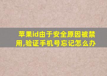 苹果id由于安全原因被禁用,验证手机号忘记怎么办