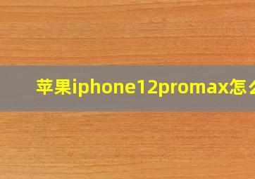 苹果iphone12promax怎么读