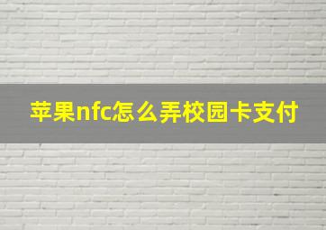 苹果nfc怎么弄校园卡支付