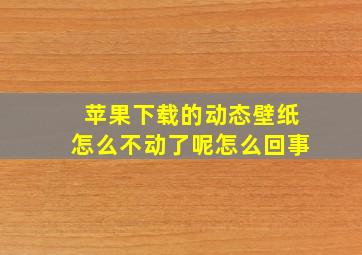 苹果下载的动态壁纸怎么不动了呢怎么回事