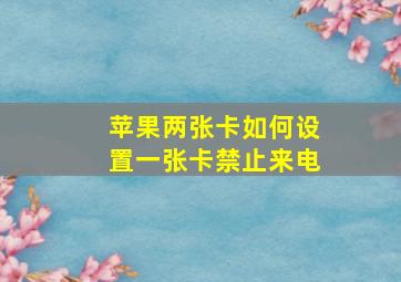 苹果两张卡如何设置一张卡禁止来电