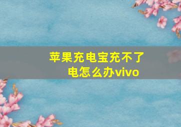 苹果充电宝充不了电怎么办vivo