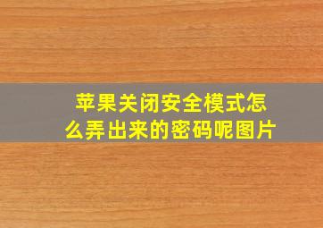 苹果关闭安全模式怎么弄出来的密码呢图片