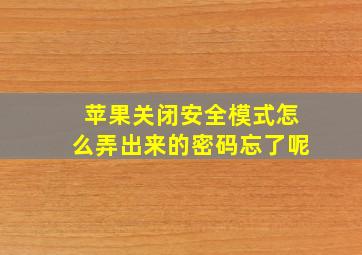 苹果关闭安全模式怎么弄出来的密码忘了呢