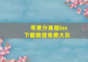 苹果分身版ios下载微信免费大灰