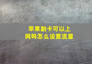 苹果副卡可以上网吗怎么设置流量