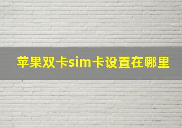 苹果双卡sim卡设置在哪里