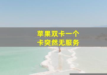 苹果双卡一个卡突然无服务