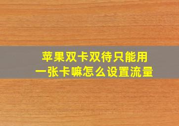 苹果双卡双待只能用一张卡嘛怎么设置流量