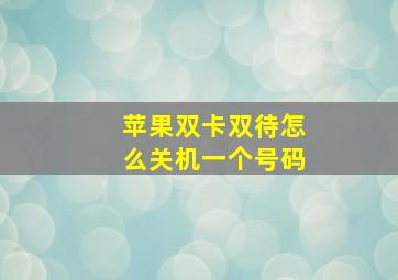 苹果双卡双待怎么关机一个号码