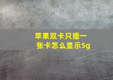 苹果双卡只插一张卡怎么显示5g