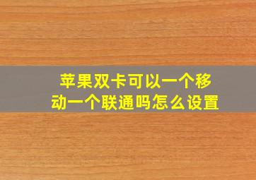 苹果双卡可以一个移动一个联通吗怎么设置