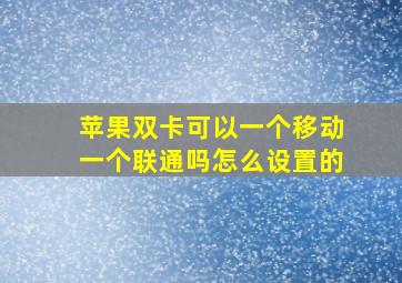 苹果双卡可以一个移动一个联通吗怎么设置的