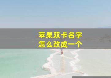 苹果双卡名字怎么改成一个