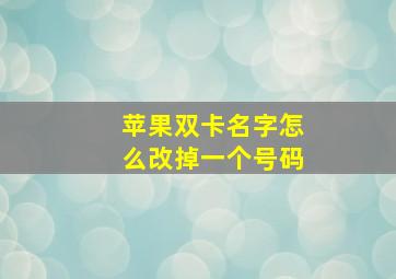 苹果双卡名字怎么改掉一个号码