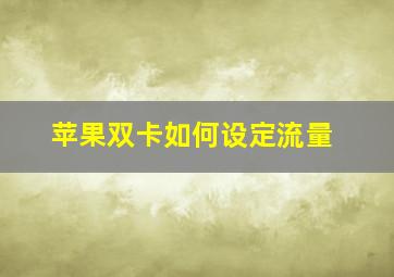 苹果双卡如何设定流量