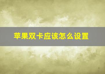 苹果双卡应该怎么设置