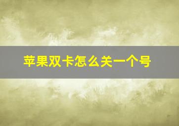 苹果双卡怎么关一个号