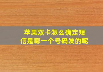 苹果双卡怎么确定短信是哪一个号码发的呢