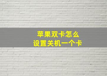 苹果双卡怎么设置关机一个卡