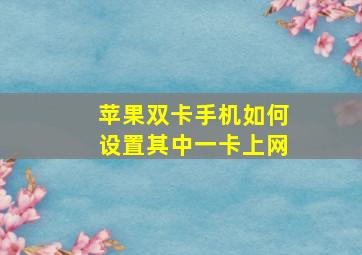 苹果双卡手机如何设置其中一卡上网