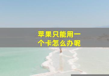 苹果只能用一个卡怎么办呢