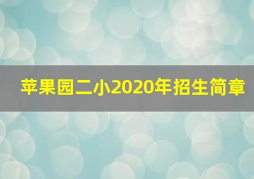 苹果园二小2020年招生简章