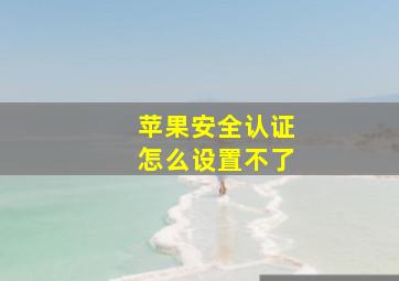 苹果安全认证怎么设置不了