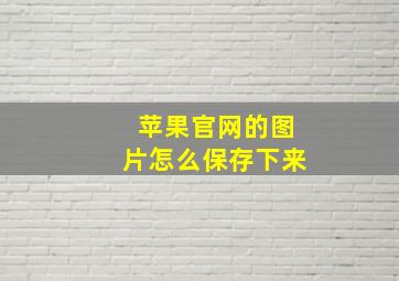 苹果官网的图片怎么保存下来