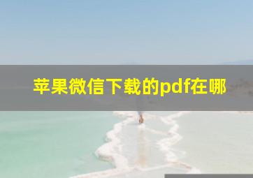 苹果微信下载的pdf在哪