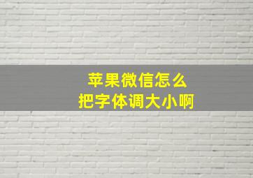 苹果微信怎么把字体调大小啊