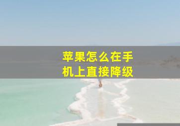 苹果怎么在手机上直接降级