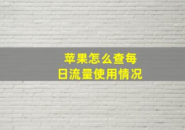 苹果怎么查每日流量使用情况