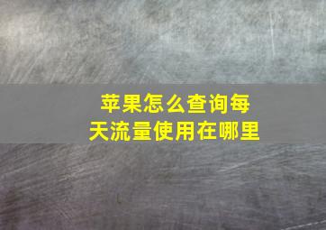 苹果怎么查询每天流量使用在哪里