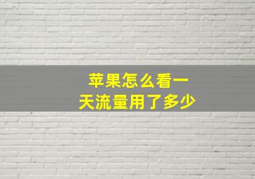 苹果怎么看一天流量用了多少