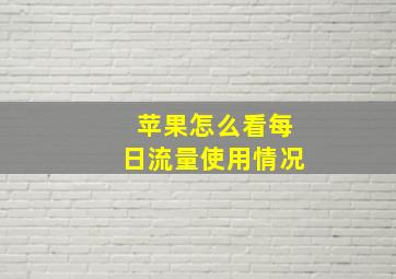 苹果怎么看每日流量使用情况