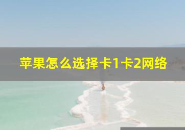 苹果怎么选择卡1卡2网络