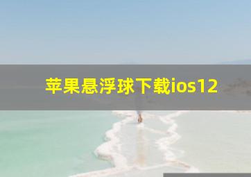 苹果悬浮球下载ios12