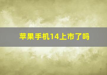 苹果手机14上市了吗