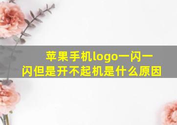 苹果手机logo一闪一闪但是开不起机是什么原因