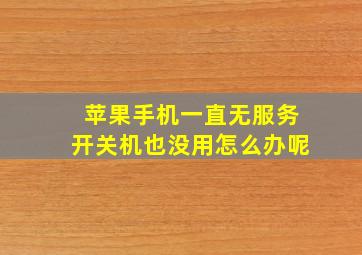 苹果手机一直无服务开关机也没用怎么办呢