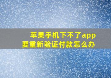 苹果手机下不了app要重新验证付款怎么办