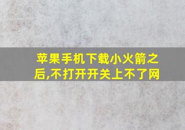 苹果手机下载小火箭之后,不打开开关上不了网