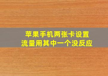 苹果手机两张卡设置流量用其中一个没反应