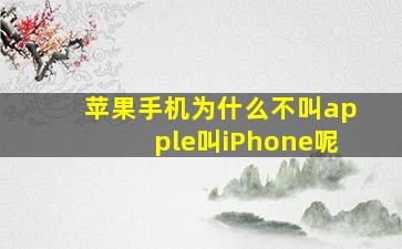 苹果手机为什么不叫apple叫iPhone呢