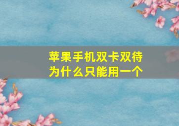 苹果手机双卡双待为什么只能用一个