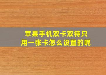 苹果手机双卡双待只用一张卡怎么设置的呢