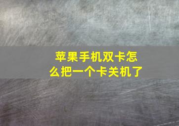 苹果手机双卡怎么把一个卡关机了