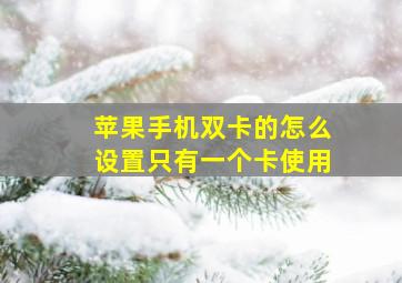 苹果手机双卡的怎么设置只有一个卡使用